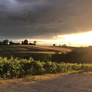 https://la-cantina-dei-sapori.emilia-romagnahotels.net